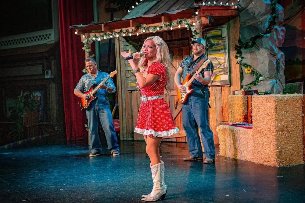 singer and guitar players at The Comedy Barn