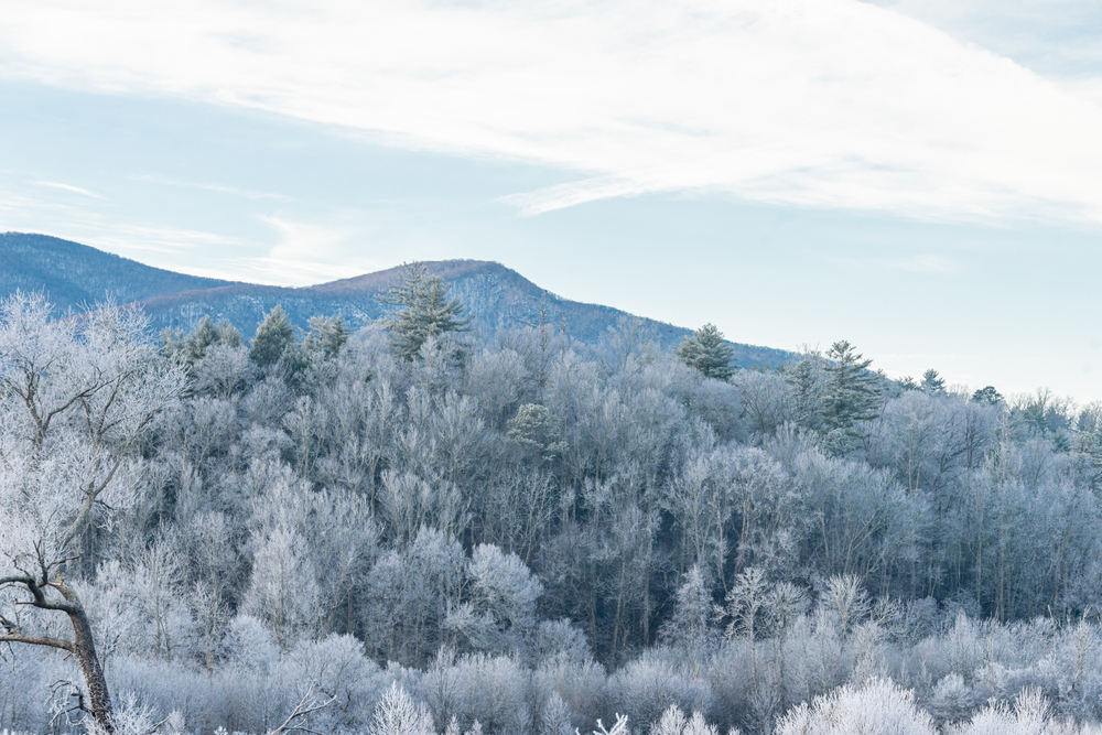 snowy mountains in Pigeon Forge